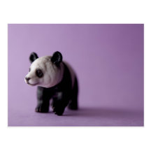 Panda-Postkarte
