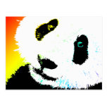 Panda Postkarte