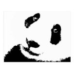 Panda Postkarte