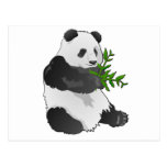 Panda Postkarten
