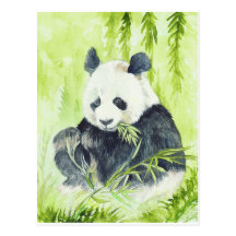 Pandapostkarte
