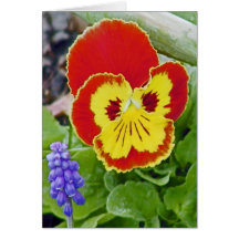 Pansy und Freund Grußkarte