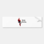 Papageien aßen meine Hausaufgaben Autosticker