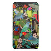 Papageien des Touch-Falles der Weltii iPod Barely There iPod Cover