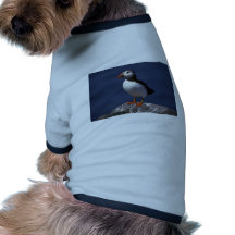 Papageientaucher Hundekleidung