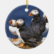 Papageientaucher-tastic Ornament