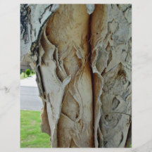 Paperbark Baumnahaufnahme Personalisierte Flyer