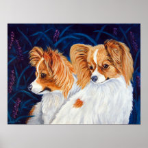 Papillon Hundewand-Druck Plakatdruck