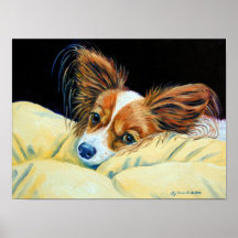Papillon Hundewand-Druck Posterdruck