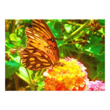 Papillon (Schmetterling) Personalisierte Ankündigungen
