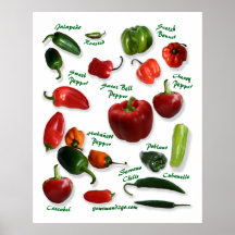 Paprika-Pfeffer-Vielzahl Poster