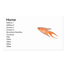 Paradies-Fische Visitenkartenvorlage