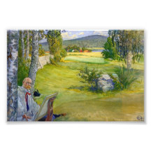 Paradies in Schweden 1910 Photographischer Druck