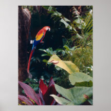 Paradies-Insel Plakat