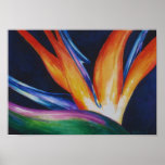 Paradiesvogel 1 Aquarell-Kunst-Plakat