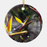 Paradiesvogel Blumen Weihnachtsornament