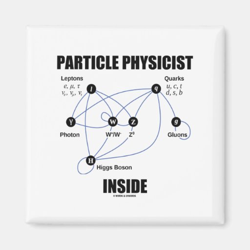 Partikel-Physiker-Innere (Standardmodell Higgs) Kühlschrankmagnete