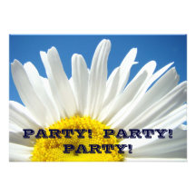 PARTY! PARTY! Weißes Gänseblümchen-Blumen-Einladun