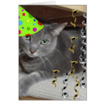Party-tierische graue Katze Grußkarte