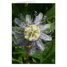 Passionflower-Anmerkungs-Karte
