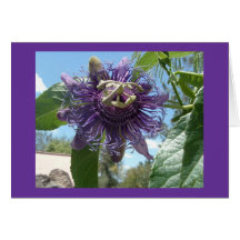 Passionflower Grußkarten
