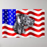 Patriot-Däne blaues UC-Plakat