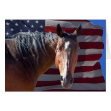 Patriotischer amerikanischer Quarterhorse u. USA-F Grußkarte