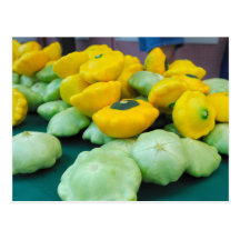 Pattypan Kürbis Postkarte