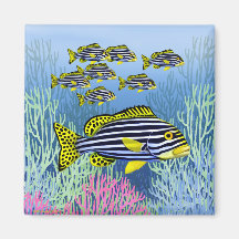 Pazifisches Riff orientalischer Sweetlips Fisch-Ma Magnete