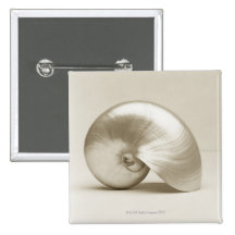 Pearlised NautilusseeMuschel Buttons