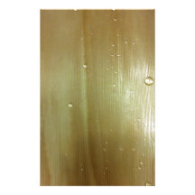 Pearlized Palmwedel Individuelles Büropapier