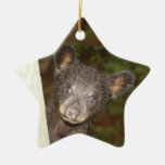 Peek-a-boo bear christmas tree ornament