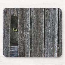 Peepin Tom Mousepads