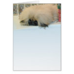 Pekingese Denken groß Grußkarten