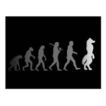 PelzEvolution Postkarten