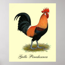 Penedesenca Hahn Posterdruck