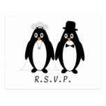 Penguin UAWG Postkarten-Einsatz