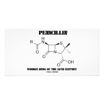Penicillin-Wunder-Droge des 20. Jahrhunderts Photo Karten