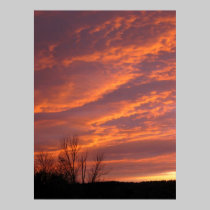 Perfekter lila Sonnenuntergang poster