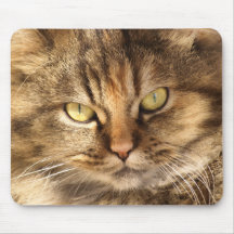 Persische Katze Mousepads