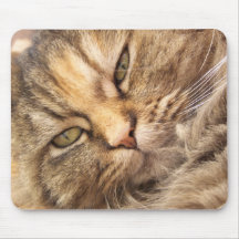Persische Katze Mousepads