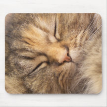 Persische Katze schlafend Mauspads