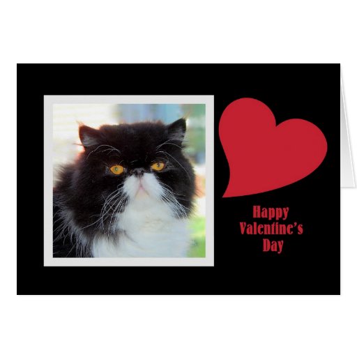 Persische Katzen-Valentinsgruß Grußkarte