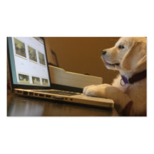Pet Fotografie, Hundetrainer, Hundewanderer Visitenkartenvorlagen