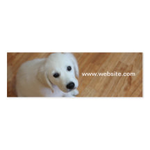 Pet Fotografie, Hundetrainer, Hundewanderer Visitenkarten