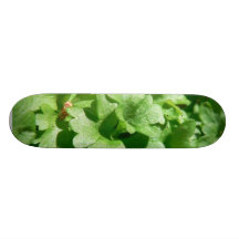 Petersilien-Grün Personalisierte Skatedecks