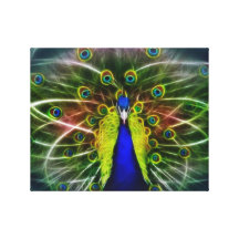 Pfau Dreamcatcher Leinwand Drucke