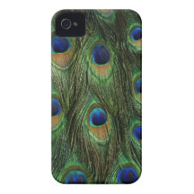 Pfau-Feder-Kasten-Abdeckung iPhone 4 Hüllen