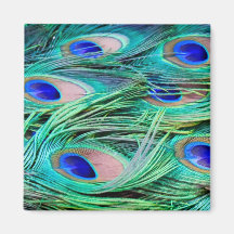 Pfau-Federn Magnets