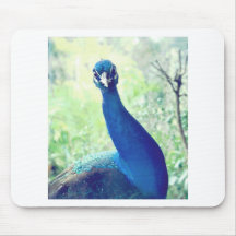 Pfau Mauspads